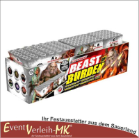 Beast of Burden, 133 Schuss